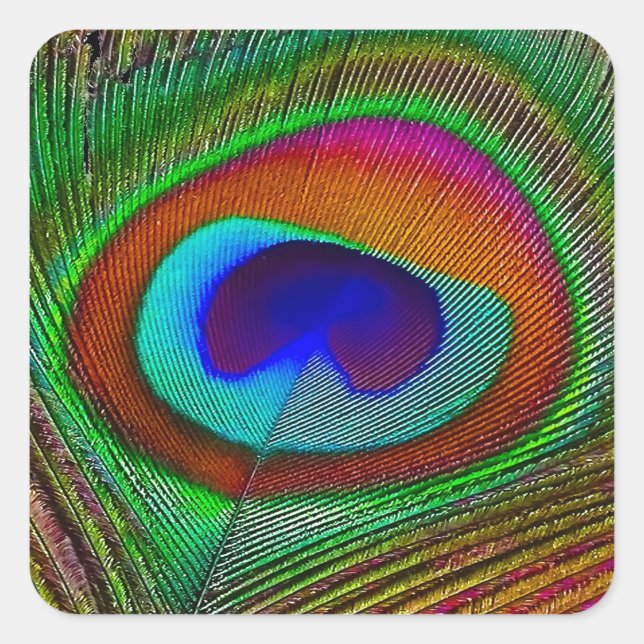 Vibrant Copper Peacock Feather Square Sticker (Front)