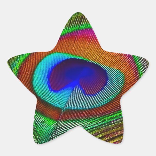 Vibrant Copper Peacock Feather Star Sticker (Front)