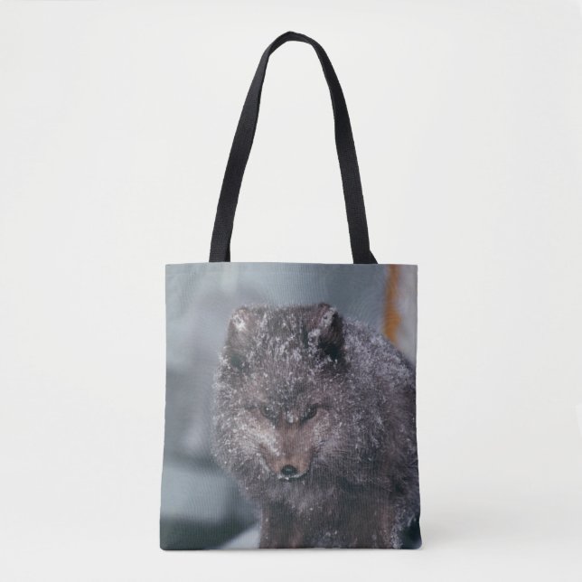 Vibrant Cute Arctic Blue Phase Fox Winter Scene Tote Bag (Front)