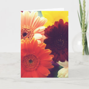 Vibrant Daisy Flower Photo Note or Greeting Card
