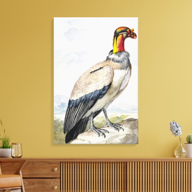 Vibrant Exotic King Vulture Wall Decor (Insitu(LivingRoom))