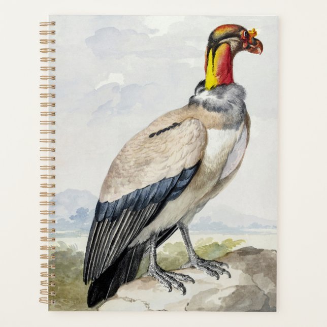 Vibrant Exotic King Vulture Wall Decor Planner (Front)
