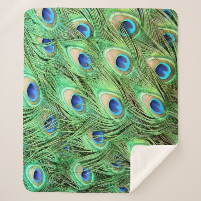 Vibrant Exotic Peacock Feathers Sherpa Blanket (Front)