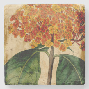 Vibrant Floral I Stone Coaster