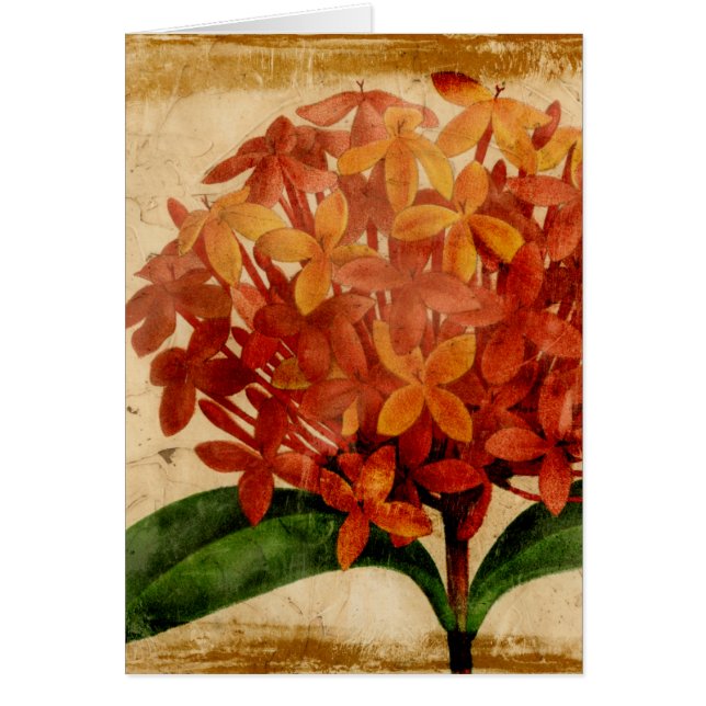 Vibrant Floral III (Front)