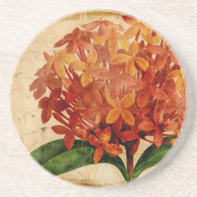 Vibrant Floral III Coaster (Front)