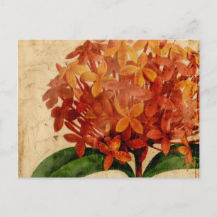 Vibrant Floral III Postcard