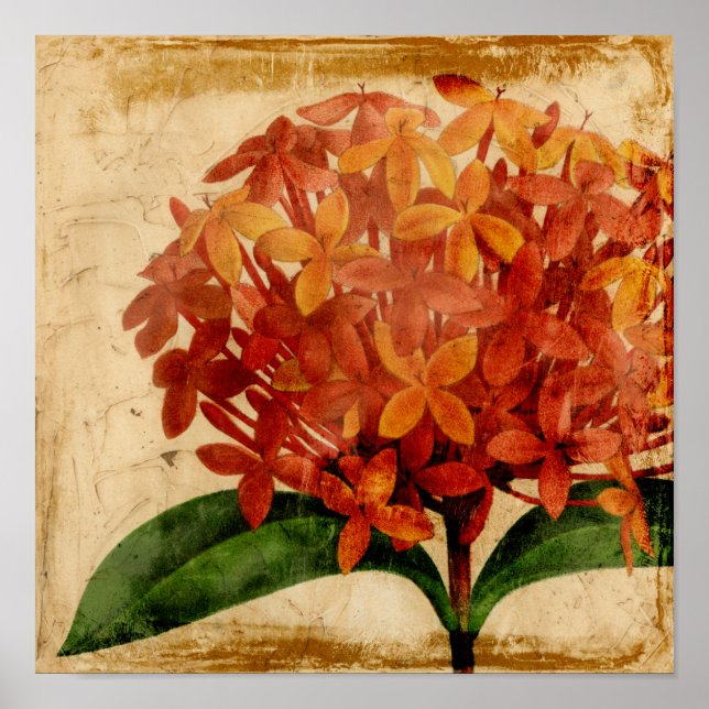 Vibrant Floral III Poster (Front)