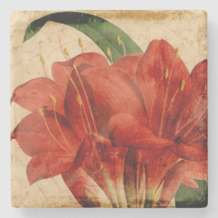Vibrant Floral VIII Stone Coaster