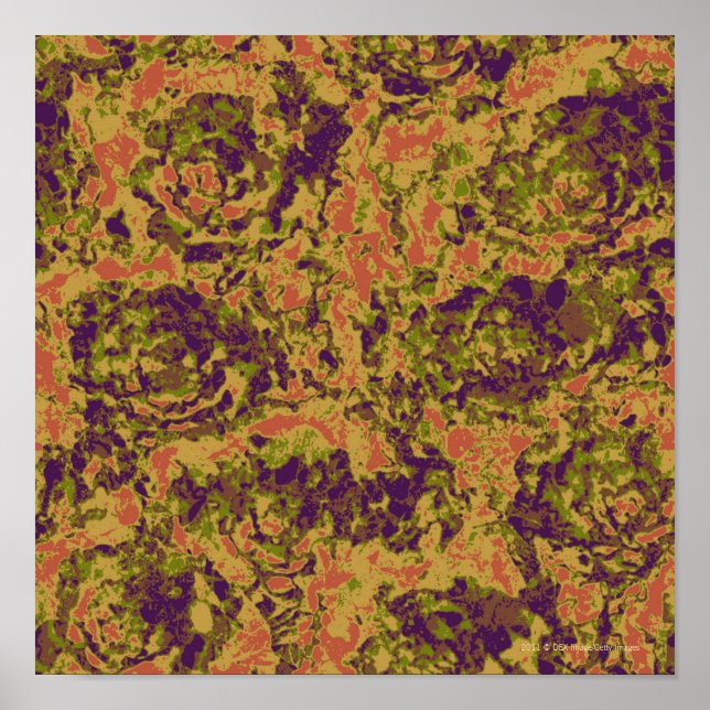 Vibrant flower camouflage pattern poster (Front)