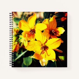Vibrant Flowers Notebook