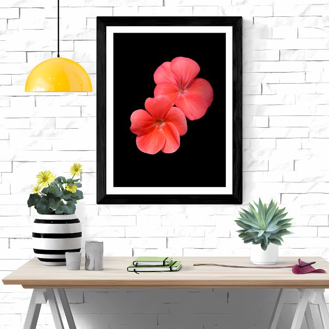 Vibrant Geranium Flowers Photo Print (Creator Uploaded)
