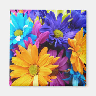 Vibrant Gerbera Daisy Bouquet Magnet