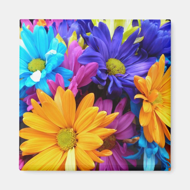 Vibrant Gerbera Daisy Bouquet Magnet (Front)