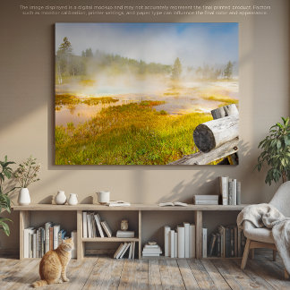 Vibrant Geyser Basin: A Colourful Yellowstone Scen Canvas Print