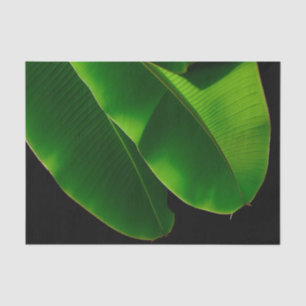 Vibrant Green Banana Leaf Tropical Closeup Tissue Paper