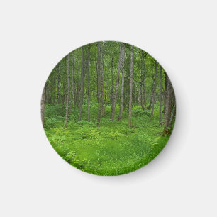 Vibrant Green Forest Serenity  Magnet