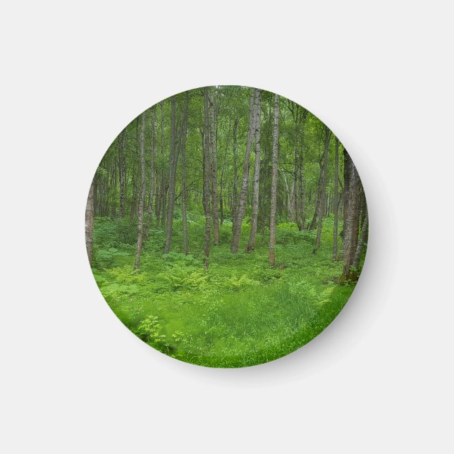 Vibrant Green Forest Serenity  Magnet (Front)