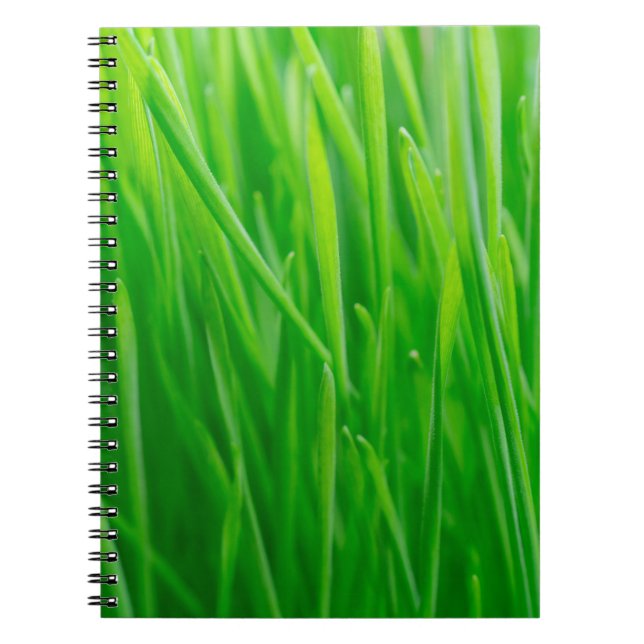 Vibrant Green Fresh Wheatgrass  Notebook (Front)