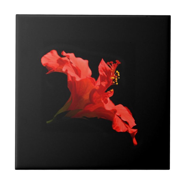 Vibrant Hibiscus Flower Tile (Front)