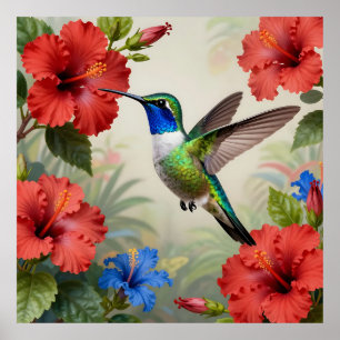 Vibrant Hummingbird Hibiscus Floral Poster