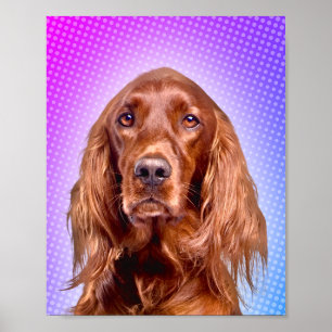 Vibrant Irish Setter Pop Art Poster