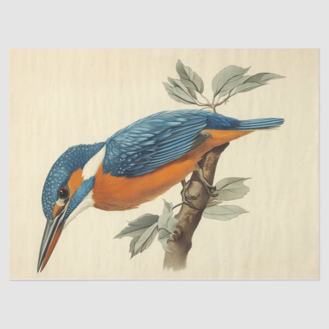 Vibrant Kingfisher Watercolor Decoupage Bird Print Tissue Paper (Front)