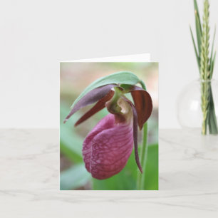 Vibrant Lady Slipper Flower Photography Note Card