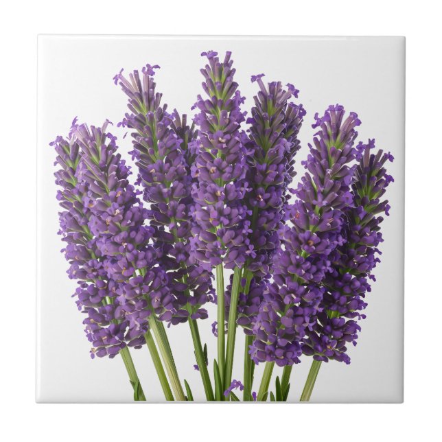 Vibrant Lavender Botanical Art Design Tile (Front)