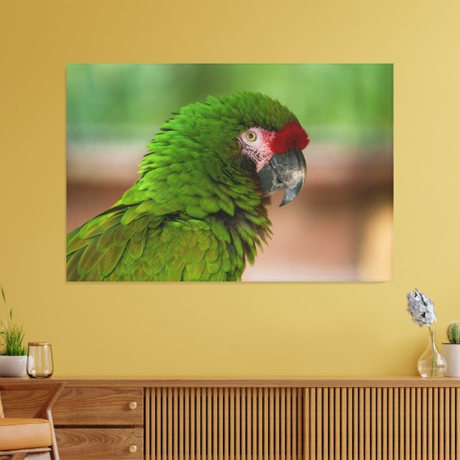 Vibrant Macaw Parrot in Profile View Canvas Print (Insitu(LivingRoom))