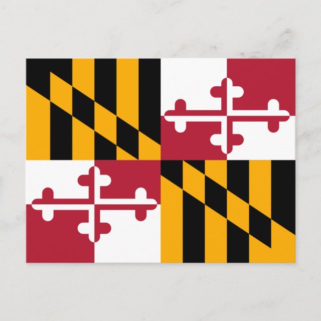 Vibrant Maryland State Flag Postcard (Front)