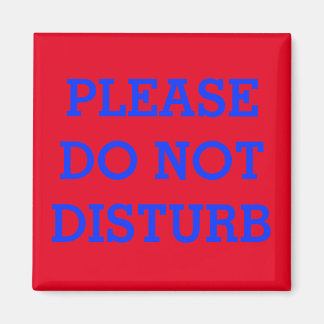 VIBRANT METAL DOOR MAGNET "DO NOT DISTURB"