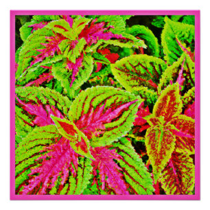 Vibrant Nature Leaves Pattern Poster