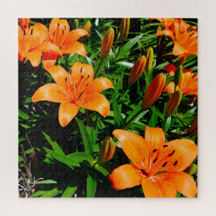 Vibrant Orange Asian Lilies Jigsaw Puzzle