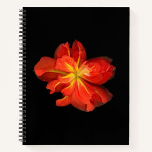 Vibrant Orange Begonia Macro Notebook