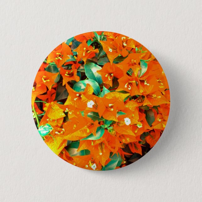 Vibrant Orange Bougainvillea Flowers 6 Cm Round Badge (Front)