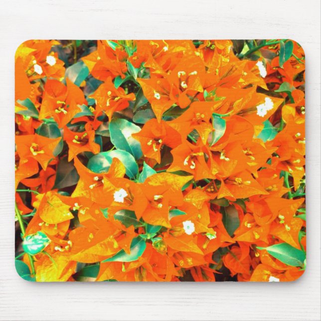 Vibrant Orange Bougainvillea Flowers Mouse Mat (Front)