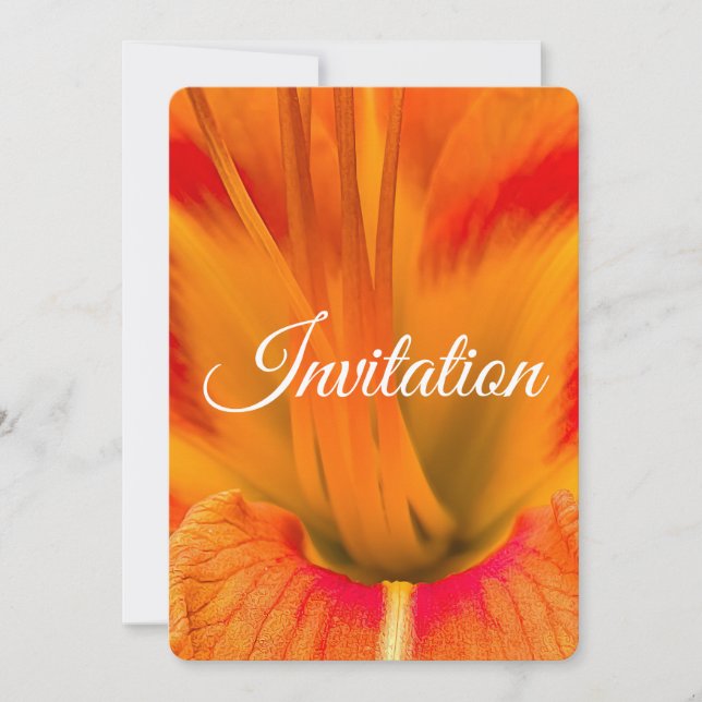 Vibrant orange daylily macro elegant floral holiday card (Front)