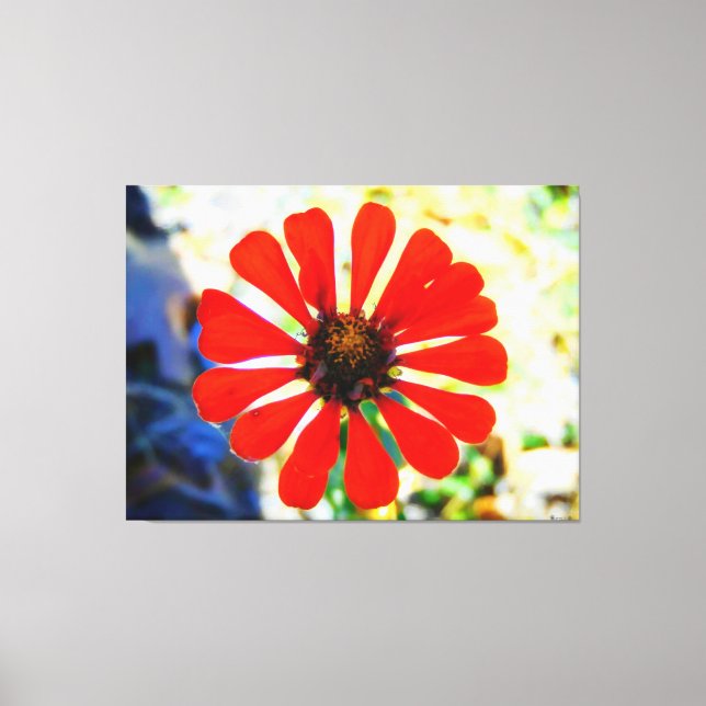 Vibrant orange Flower Bloom Canvas Print (Front)