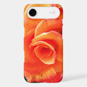 Vibrant Orange Rose Photograph