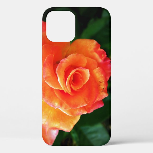 Vibrant Orange Rose Photograph Case-Mate iPhone Case (Back)