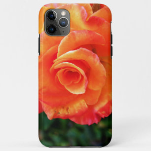 Vibrant Orange Rose Photograph iPhone 11 Pro Max Case