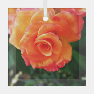 Vibrant Orange Rose Photograph Glass Tree Decoration