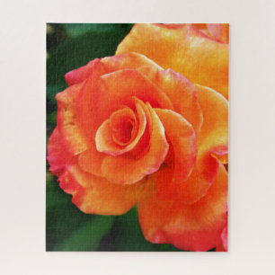 Vibrant Orange Rose Photograph Jigsaw Puzzle