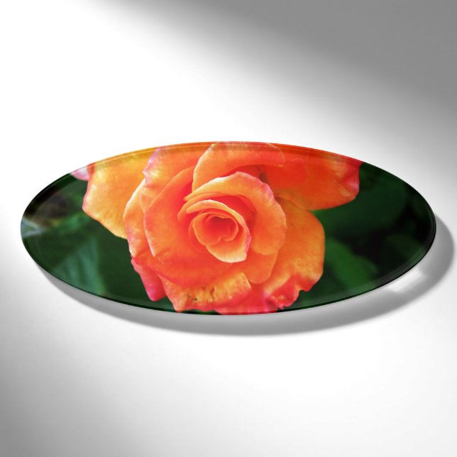 Vibrant Orange Rose Photograph Name Tag (Front)