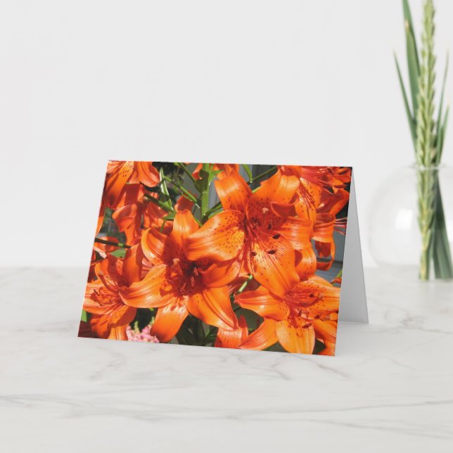 Vibrant Orange Tiger Lilies Card (Front)