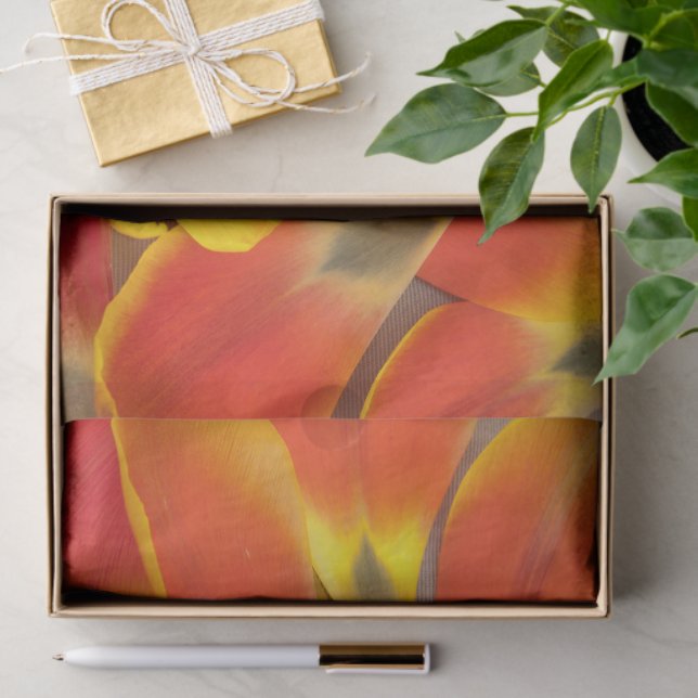 Vibrant Orange Tulip Petal Photograph Any Occasion Tissue Paper (Gift)
