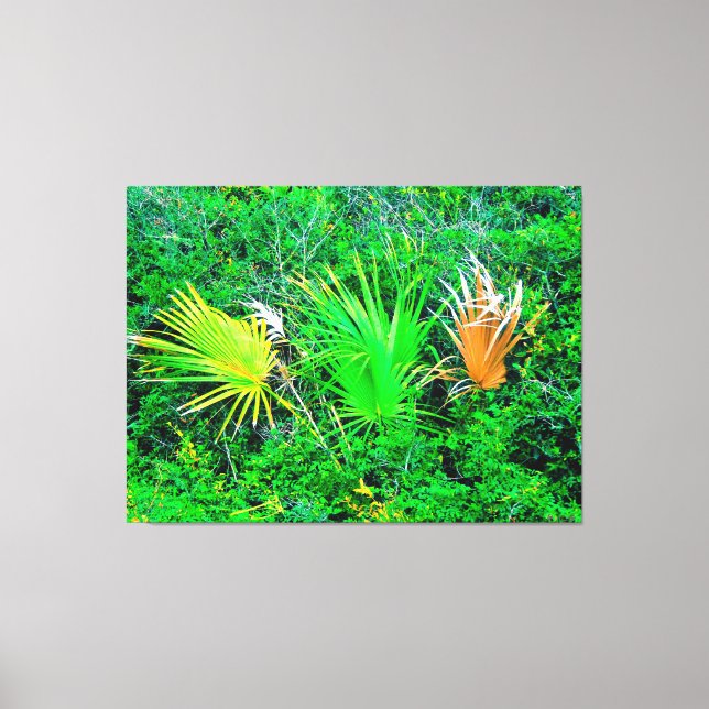 Vibrant Palm Leaves Canvas Print (Front)