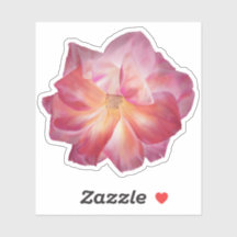 Vibrant Pastel Pink Rose Illustration Custom