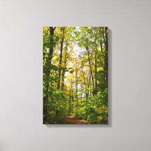 Vibrant Path In The Forest Canvas Print